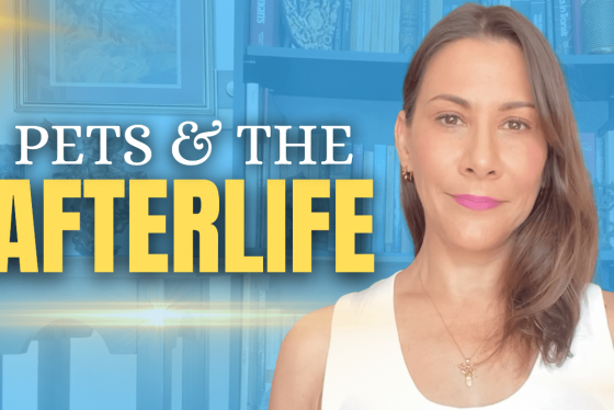 Pets and Afterlife